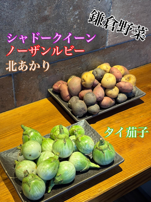 画像369