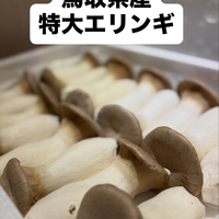 画像382