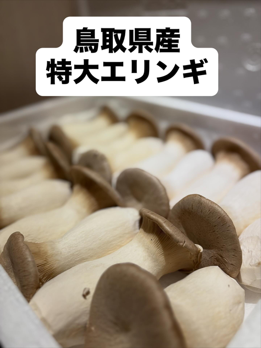 画像382