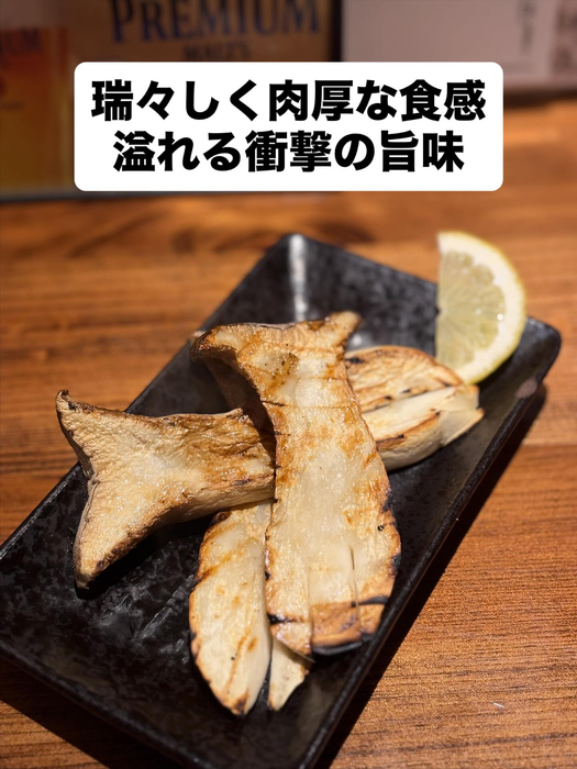 画像383